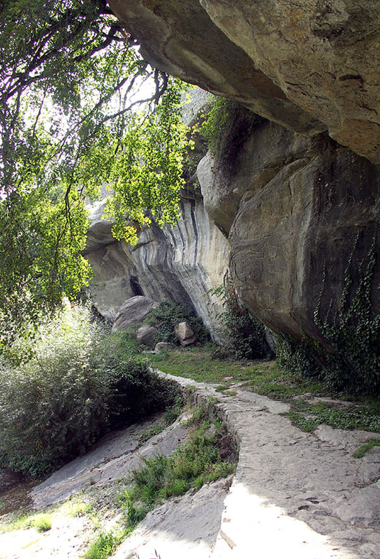 rupit61w