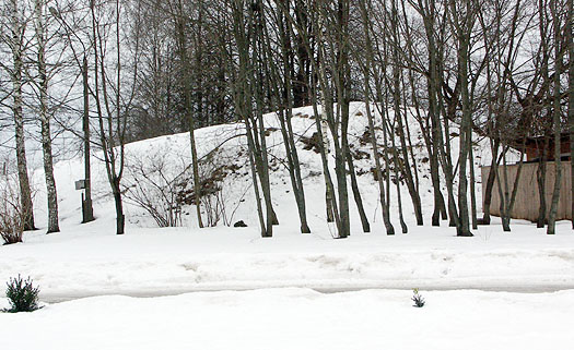  2008.