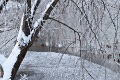 IM0542