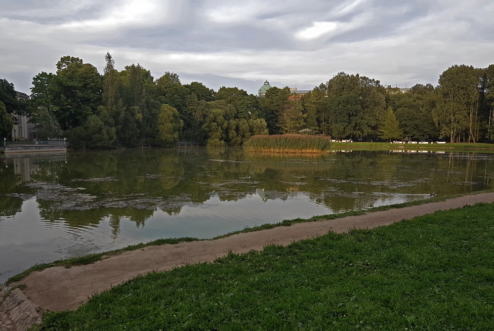 SAM0803_193354w