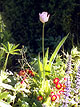 ,  2004.