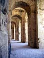 eljem11