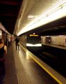 venametro01w