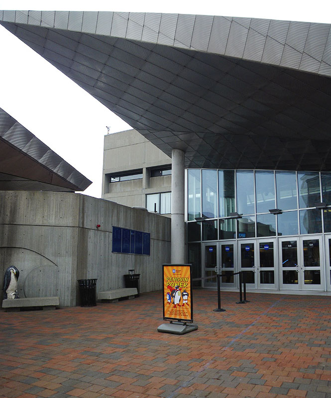 boston3393w