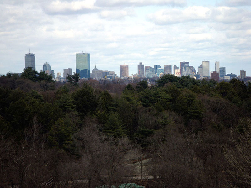 boston3603w