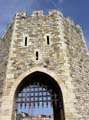 besalu9w