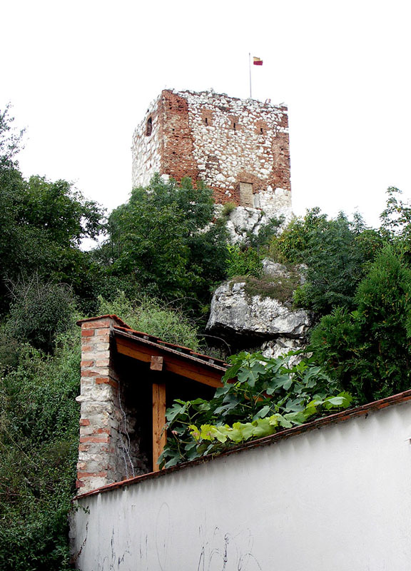 mikul13