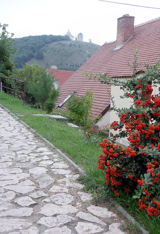 mikul16