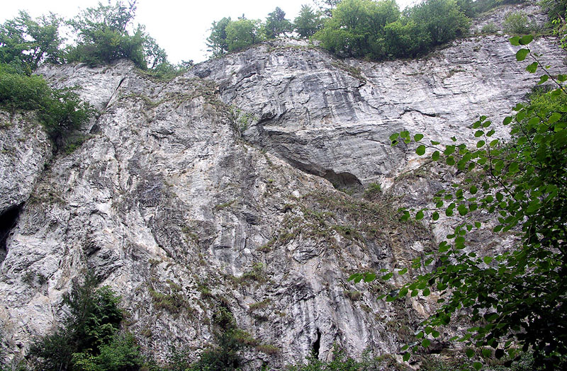 morkras2