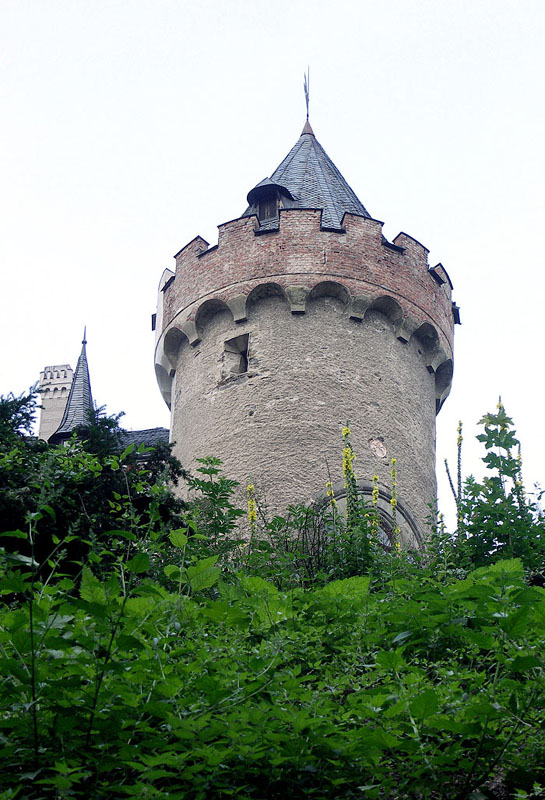 zhleb12