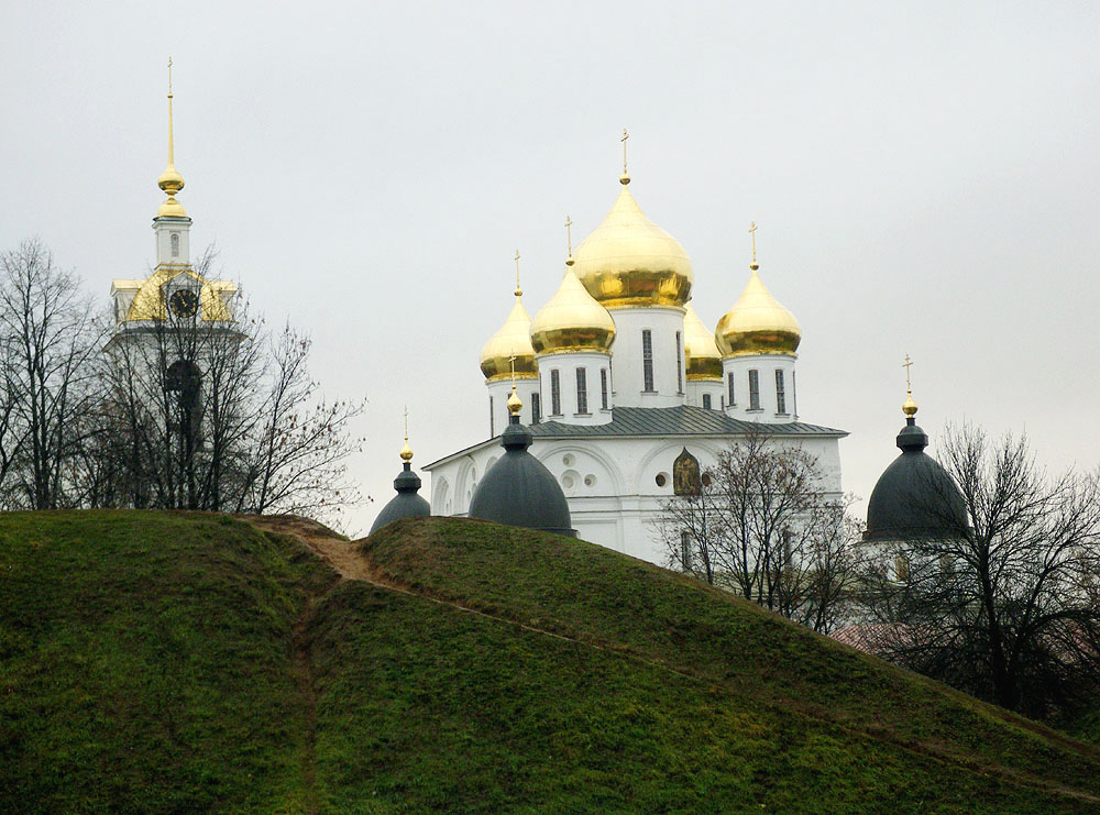 dmitr958w
