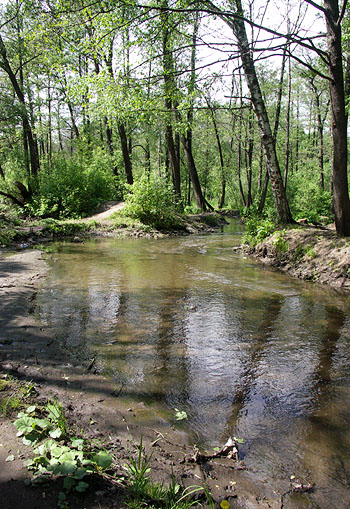  2006.