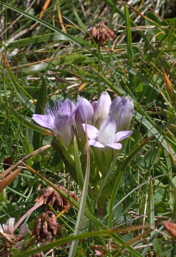 P172865