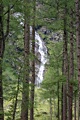 P162734