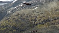 P172889