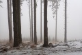 P0303