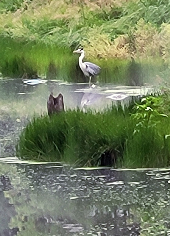 220722_185120
