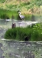 220722_185120