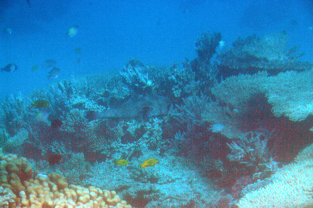 P2166