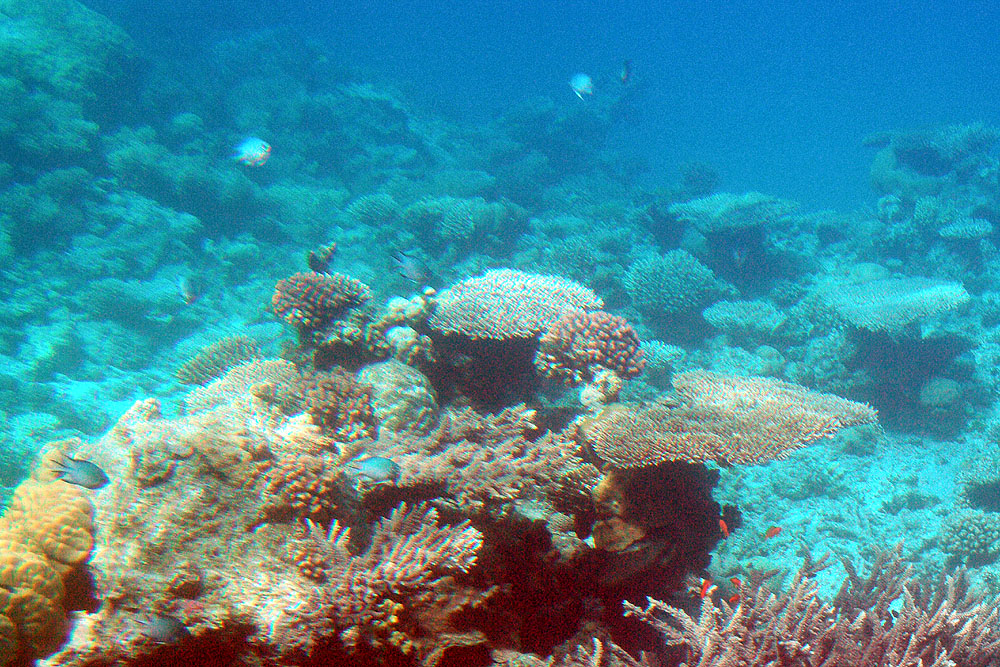 P2214