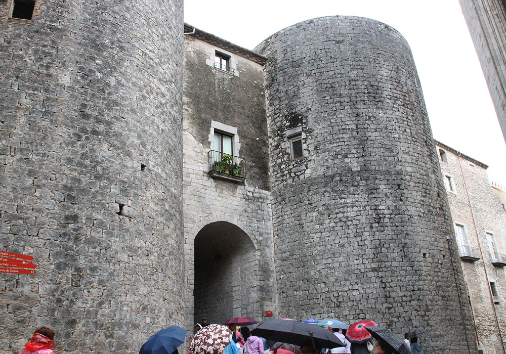 IM5031w
