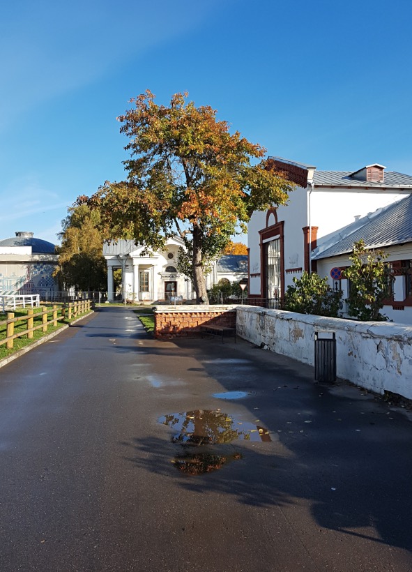 SAM181009_092312