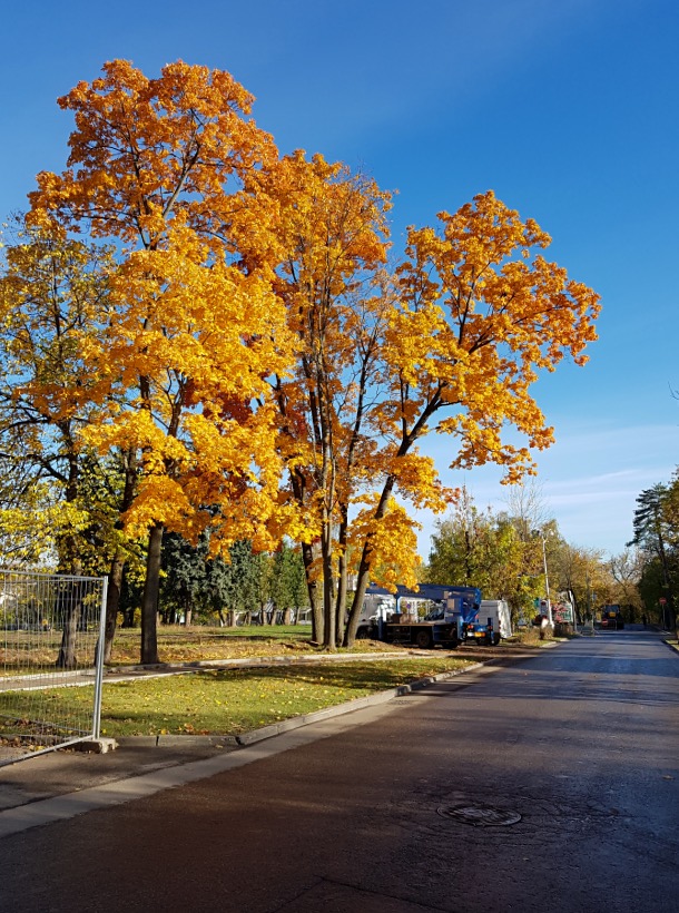 SAM181009_092504