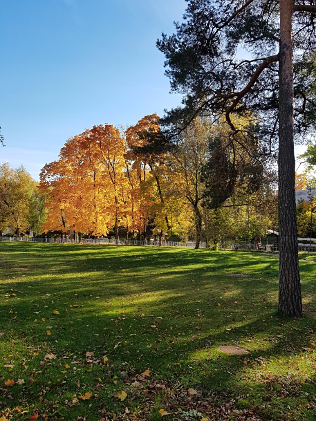 SAM181009_092705