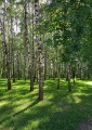 SAM180527_160342
