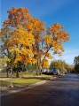 SAM181009_092504