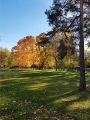 SAM181009_092705