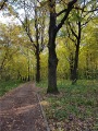 SAM181009_093249