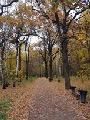 SAMS1007_101547W