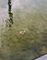 210703_121106w