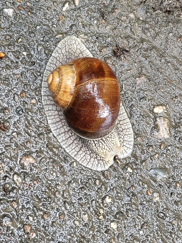 250618_113805
