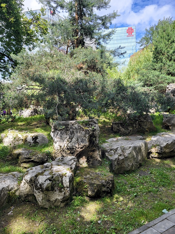250629_130640