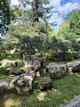 250629_130640