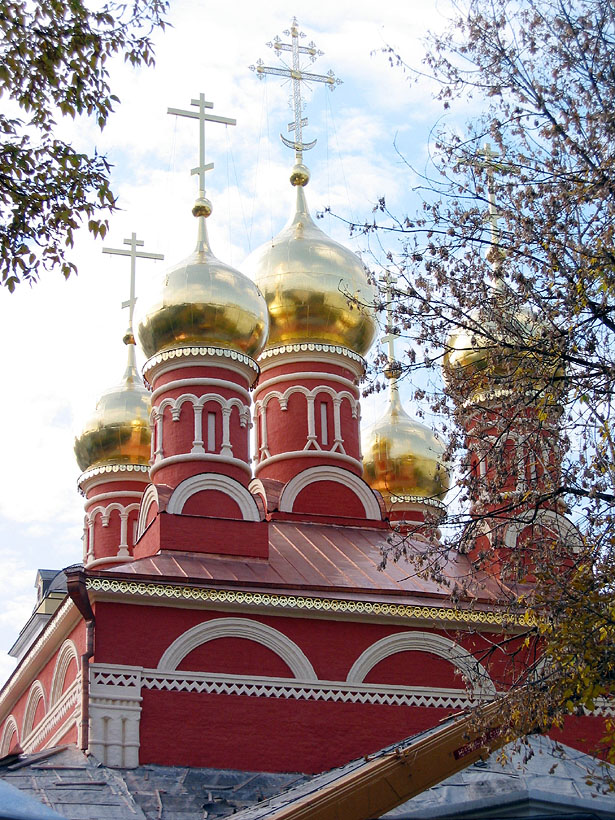nikschep6