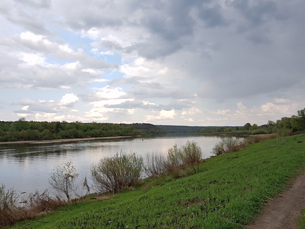 SAMS0505_164551w