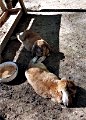 SAMS0506_094325W