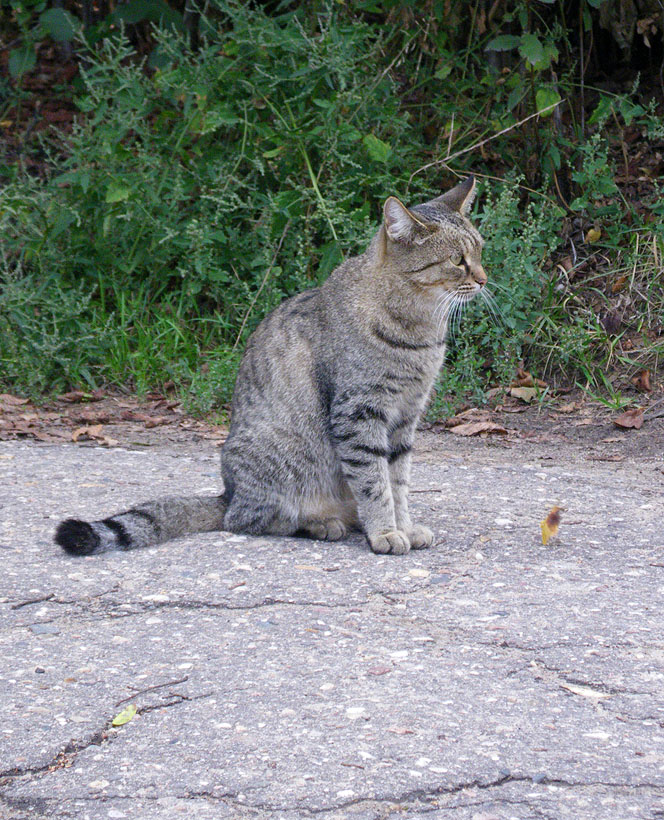IMGP2332