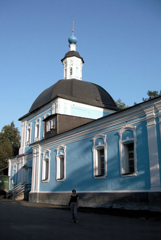 voznes2