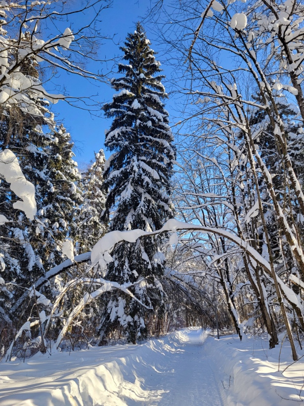 260204_110127