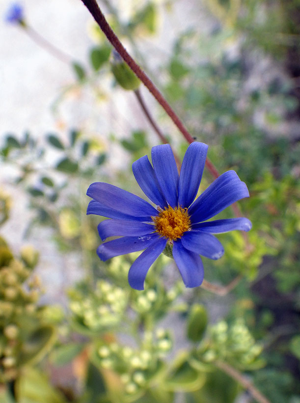 104IM07w 