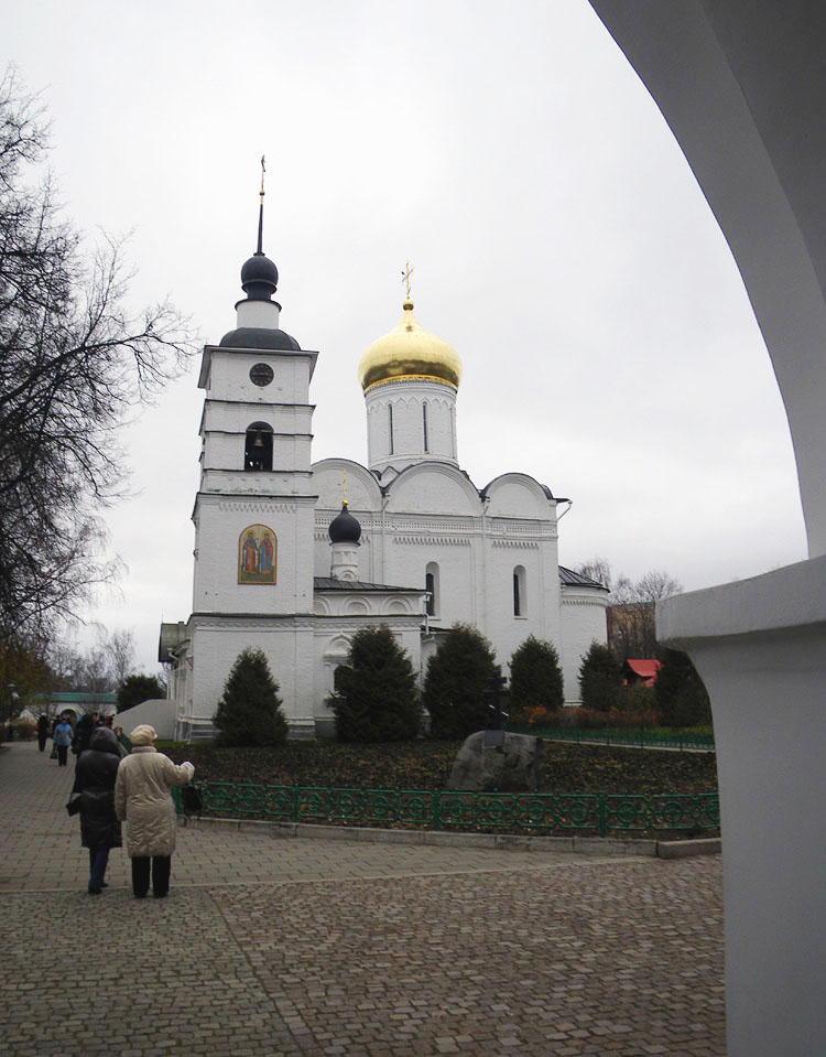 dmitrbg8w