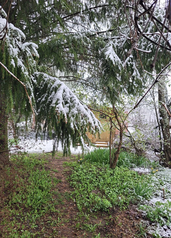 230429_072241