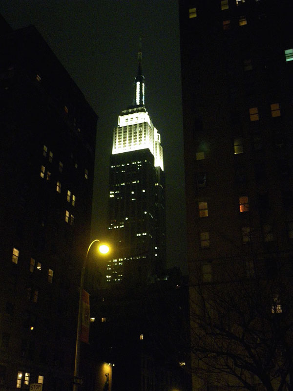 ny4383w