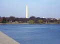 washington3949w