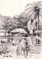 palmy2